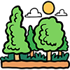 Miyawaki Forest